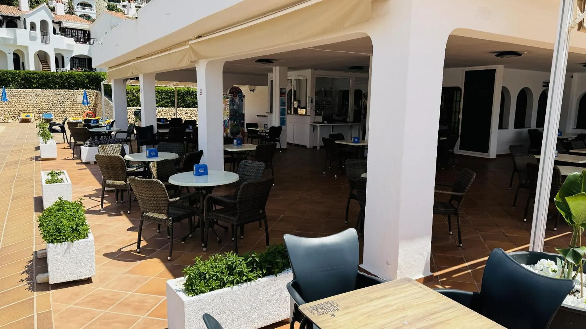 Mulberry Apartment Son Bou